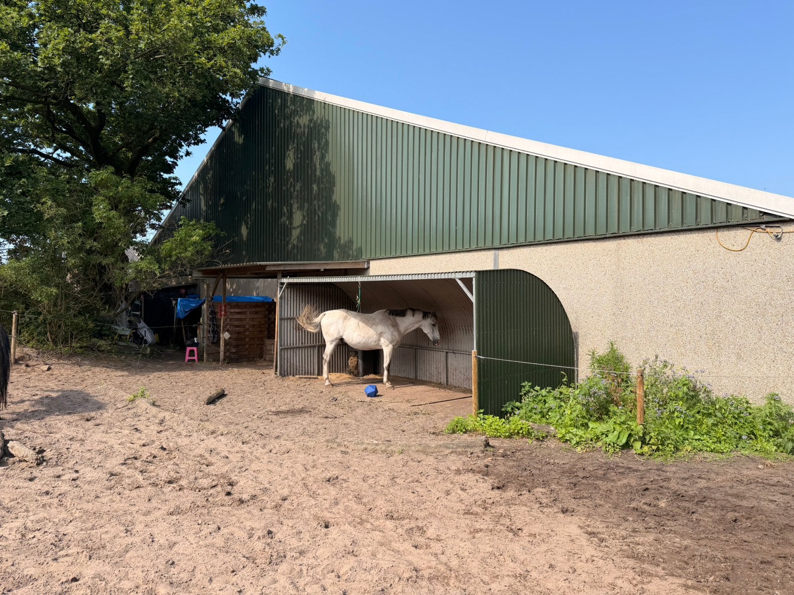 Paddock paradijs in Hollandsche rading, Dieren en Toebehoren, Stalling, 1 paard of pony