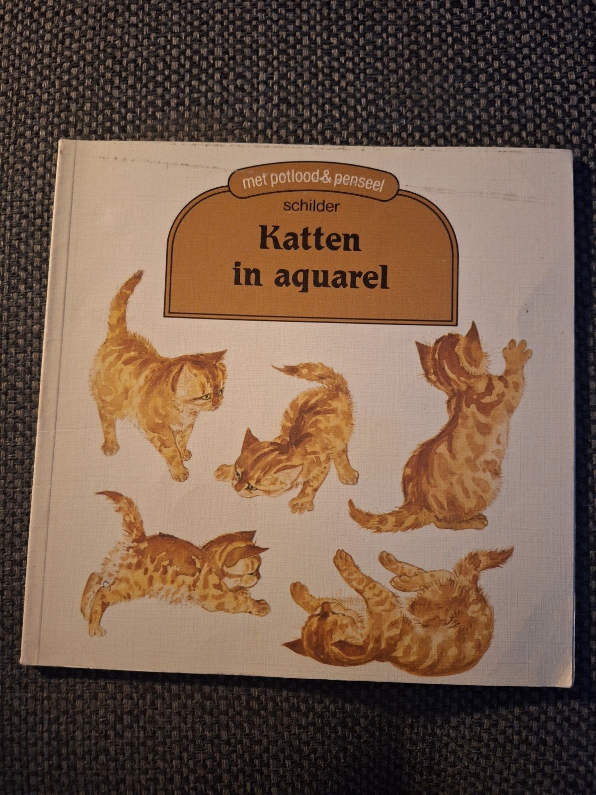 Schilder Katten in aquarel - Met potlood en penseel, Ophalen