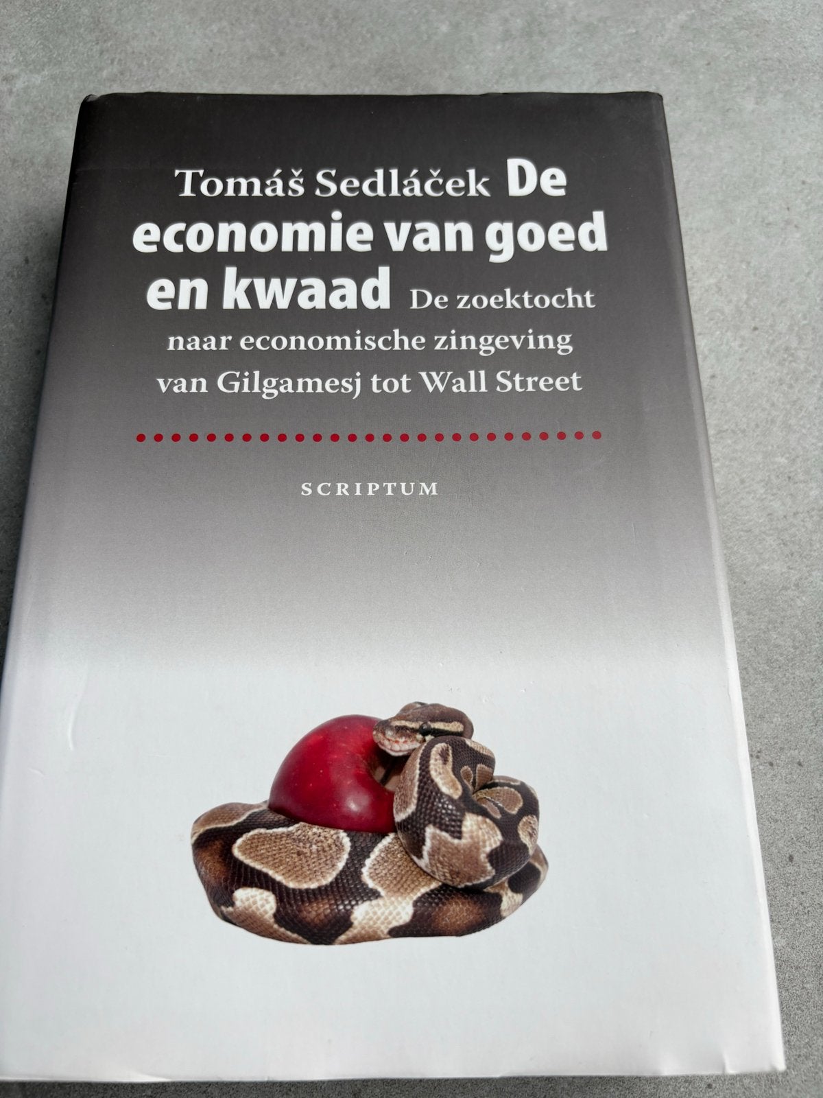 De economie van goed en kwaad - Tomáš Sedláček, Ophalen of Verzenden, Gelezen, Nederland