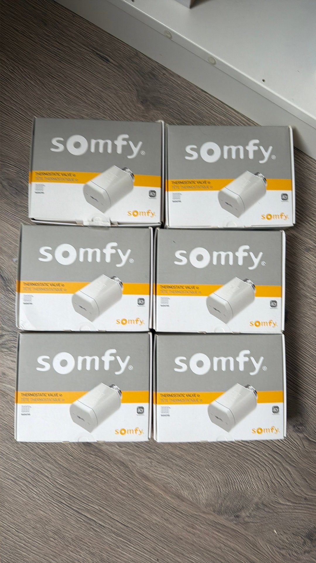 Somfy Thermostatische Klep (6 stuks), Doe-het-zelf en Verbouw, Ophalen of Verzenden, Nieuw, Thermostaat