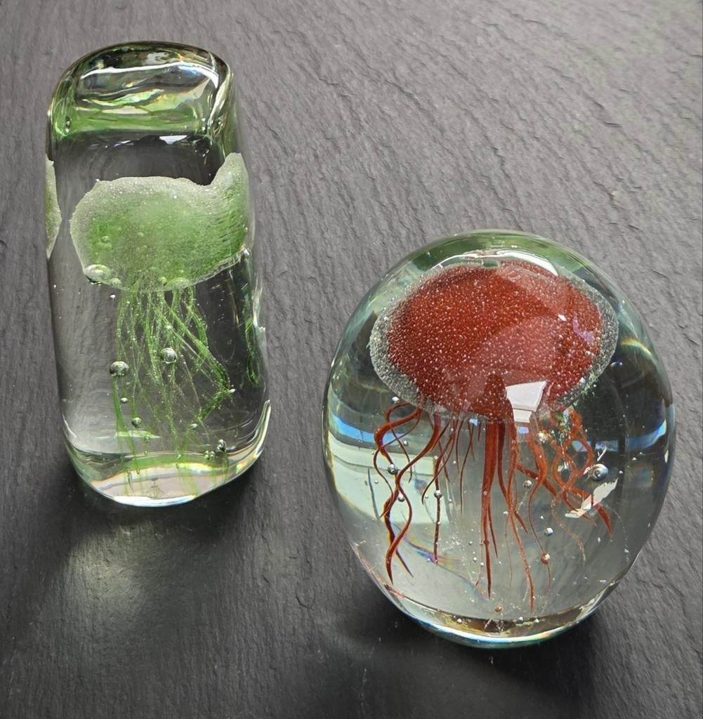 2 Presse-papier paper weight jellyfish, Ophalen of Verzenden, Zo goed als nieuw