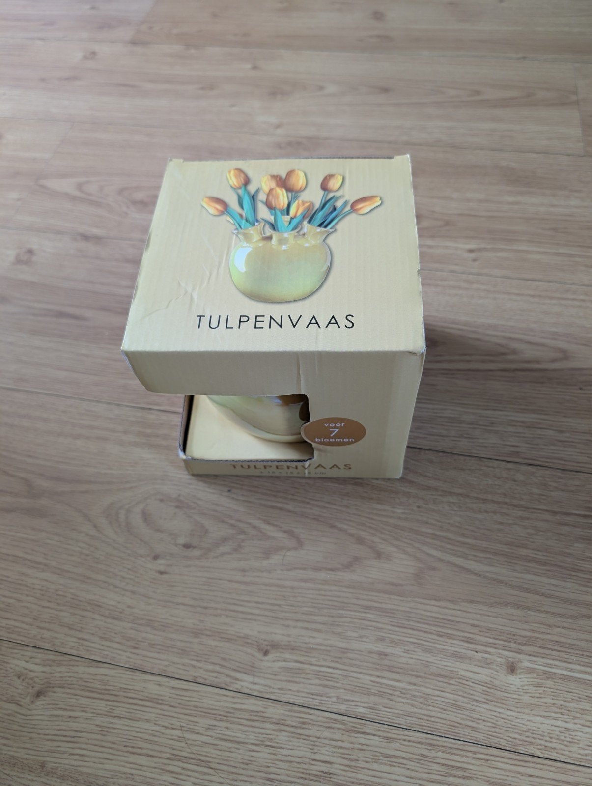 Intratuin Tulpenvaas 15x15x15, Overige kleuren, Nieuw, Ophalen of Verzenden, Glas