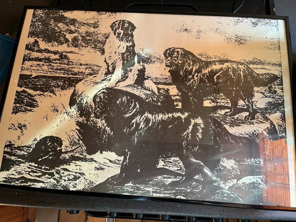 Ingelijste zwart-wit print van newfoundlander, Ophalen