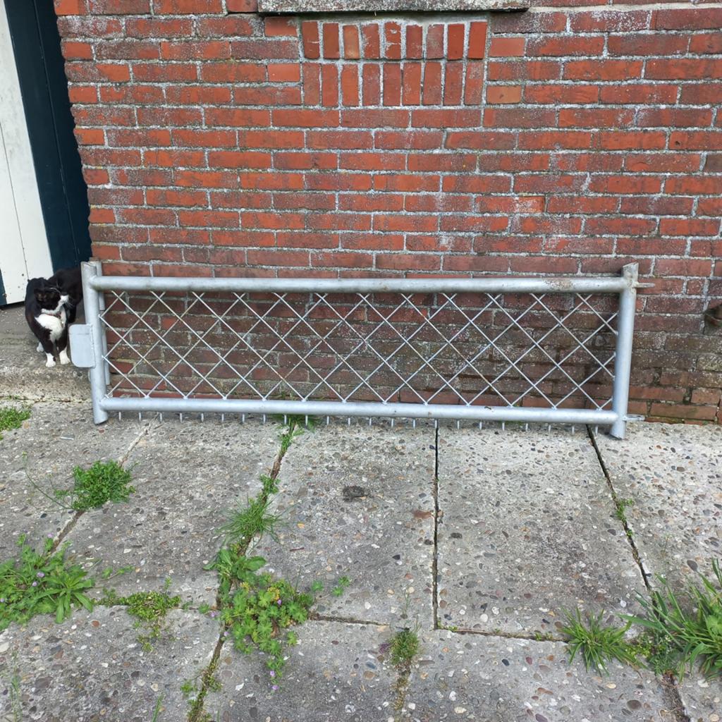 Gebruikt ijzeren hekwerk met poort, Met poort, Gebruikt, Ophalen of Verzenden, Gaashekwerk