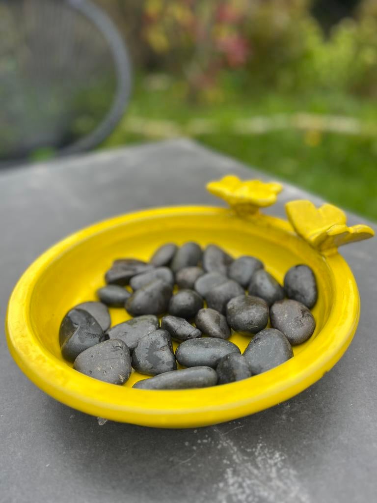 Insectenbadje, Tuin en Terras, Vogelhuisjes en Vogelbaden, Ophalen of Verzenden