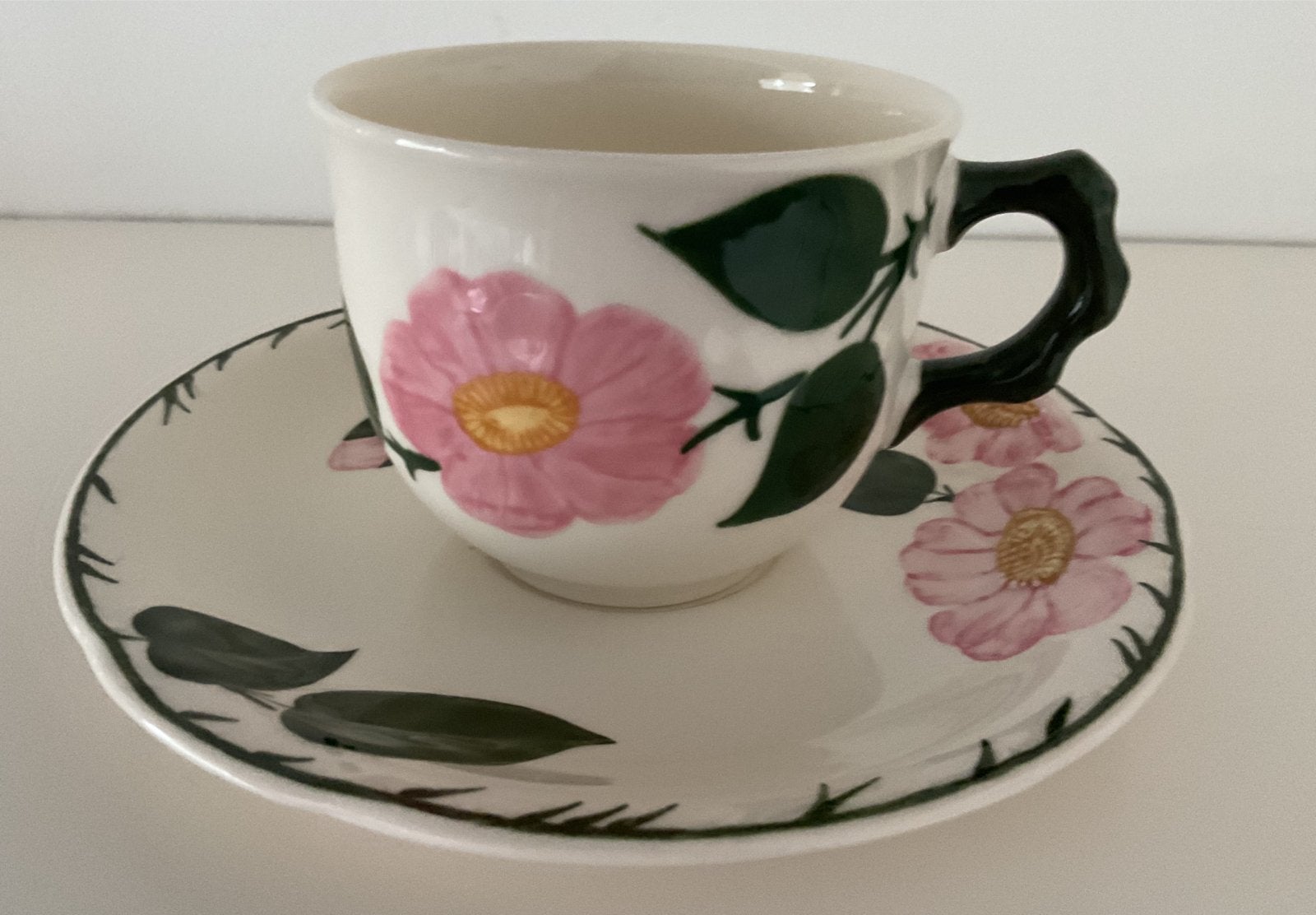 Villeroy & Boch Wild Rose - Koffiekop en Schotel - kop, Gebruikt, Klassiek, Villeroy & Boch, Ophalen of Verzenden
