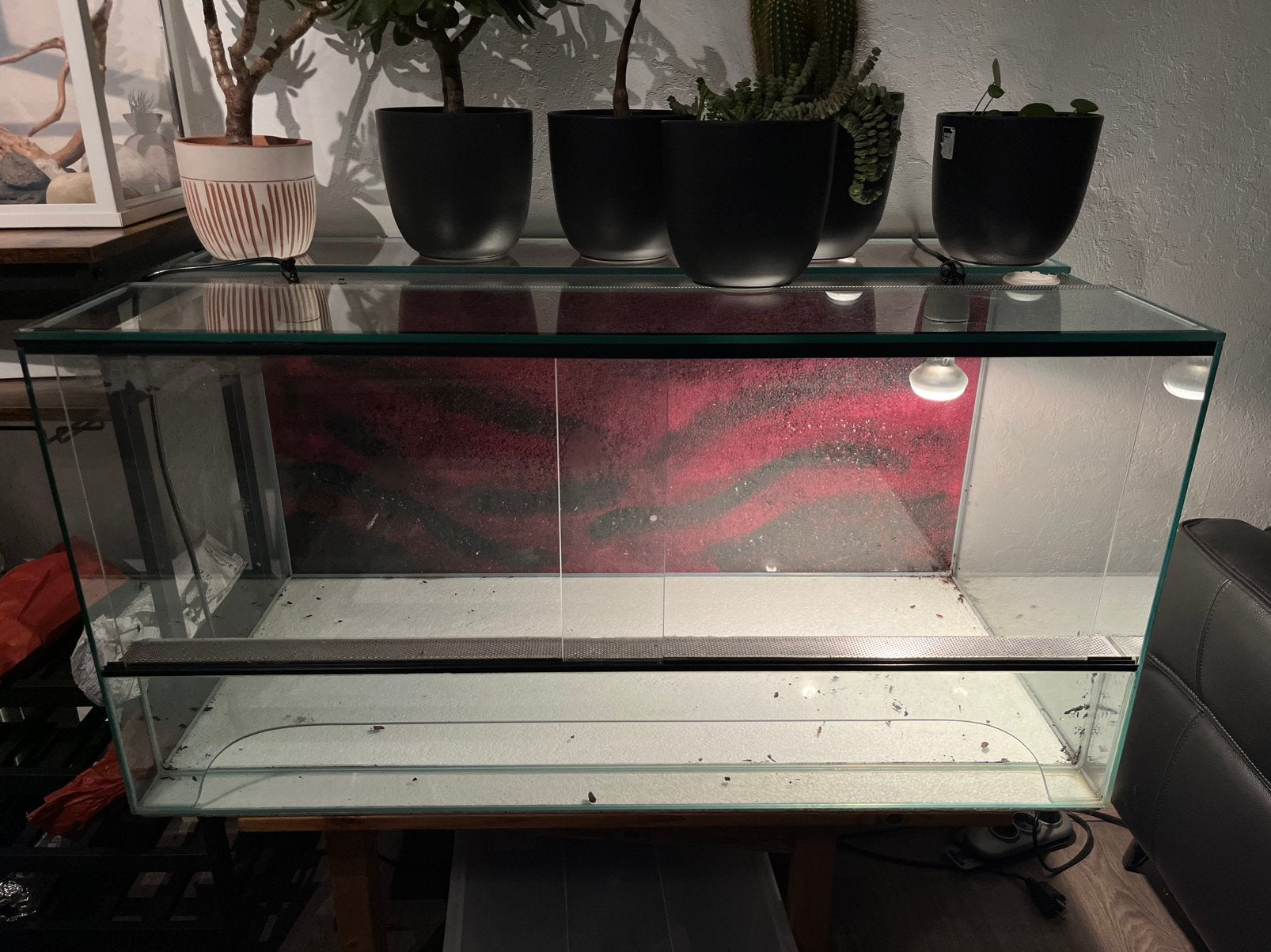 Te Koop: Terrarium 100x50x50, Dieren en Toebehoren, Reptielen en Amfibieën | Toebehoren, Ophalen, Gebruikt, Terrarium of Paludarium