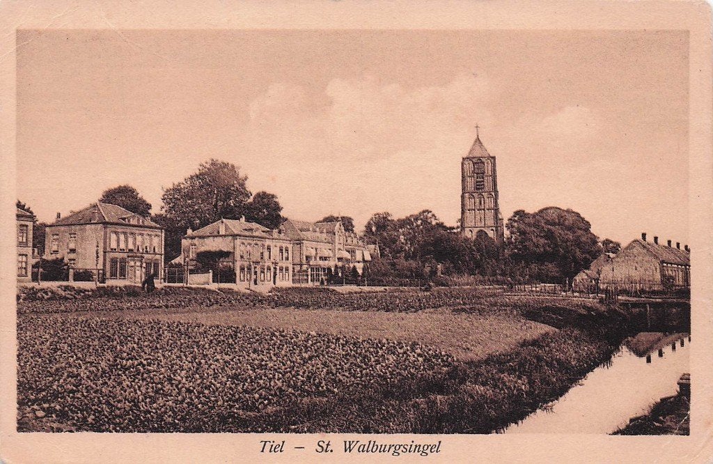 Tiel - St.Walburgsingel met kerk in de verte (rond 1930), Ophalen of Verzenden, 1920 tot 1940, Gelopen, Gelderland