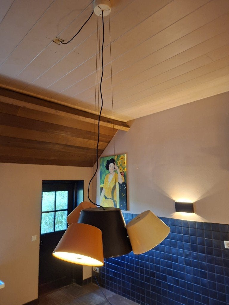 exclusieve hanglamp, Ophalen, Gebruikt, Metaal, Exclusief