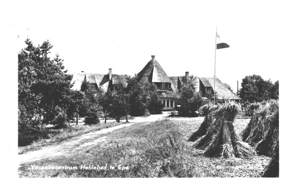 950365 Epe Heidebad 1956 Postzegel afgeweekt