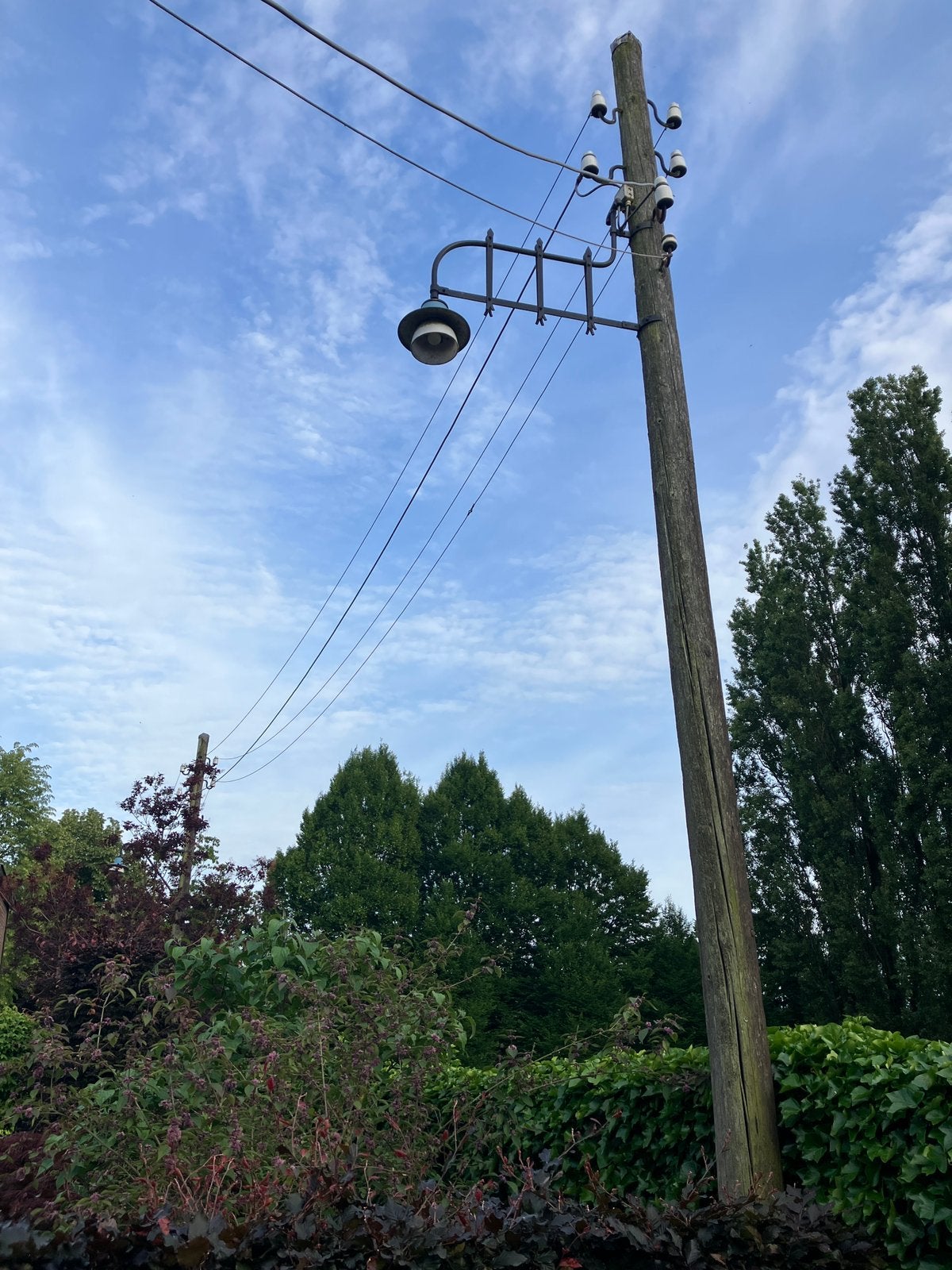 Telefoonpalen, ooievaarsnest, hoppalen, rond hout, nestkast, Ophalen of Verzenden, Zo goed als nieuw, 250 cm of meer, Palen