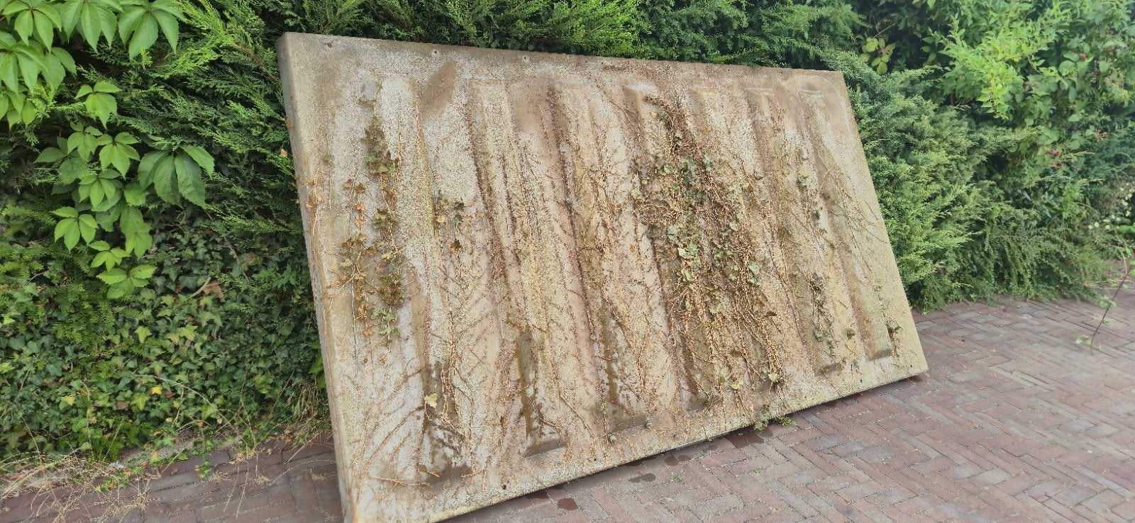 Afdak 270cm x 150cm, Doe-het-zelf en Verbouw, Dakpannen en Dakbedekking, Overige materialen, Gebruikt, Overige kleuren, Overige typen