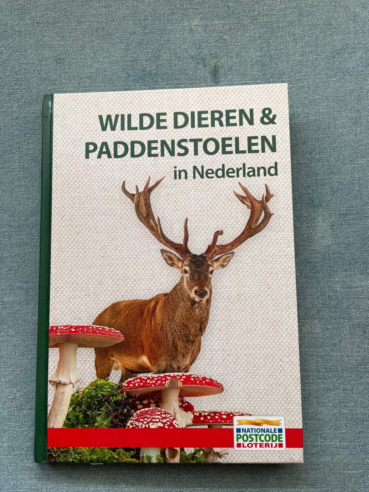Wilde dieren en paddestoelen, Ophalen of Verzenden, Nieuw, Natuur algemeen