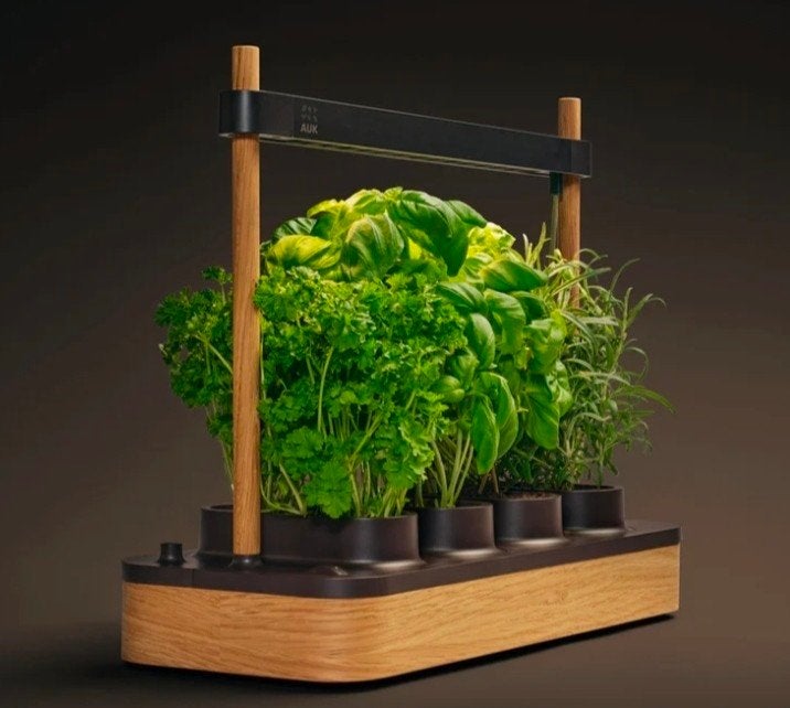 Auk Mini Smart Indoor Tuin - Zo goed als nieuw, Ophalen, Zo goed als nieuw, Kweekbak