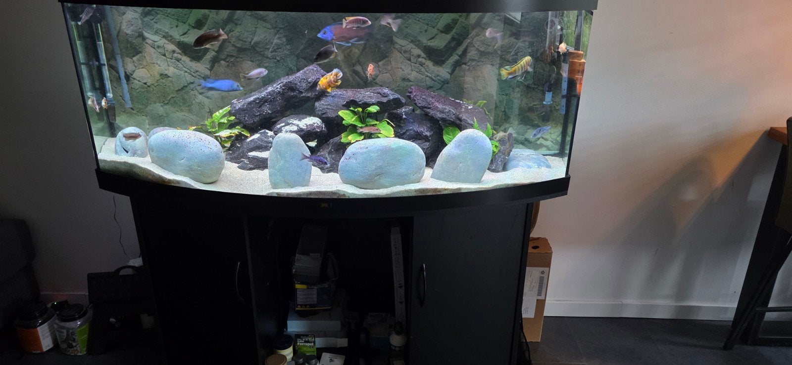 Juwel 450 vision aquarium, Ophalen, Inclusief deksel, Zo goed als nieuw, Leeg aquarium