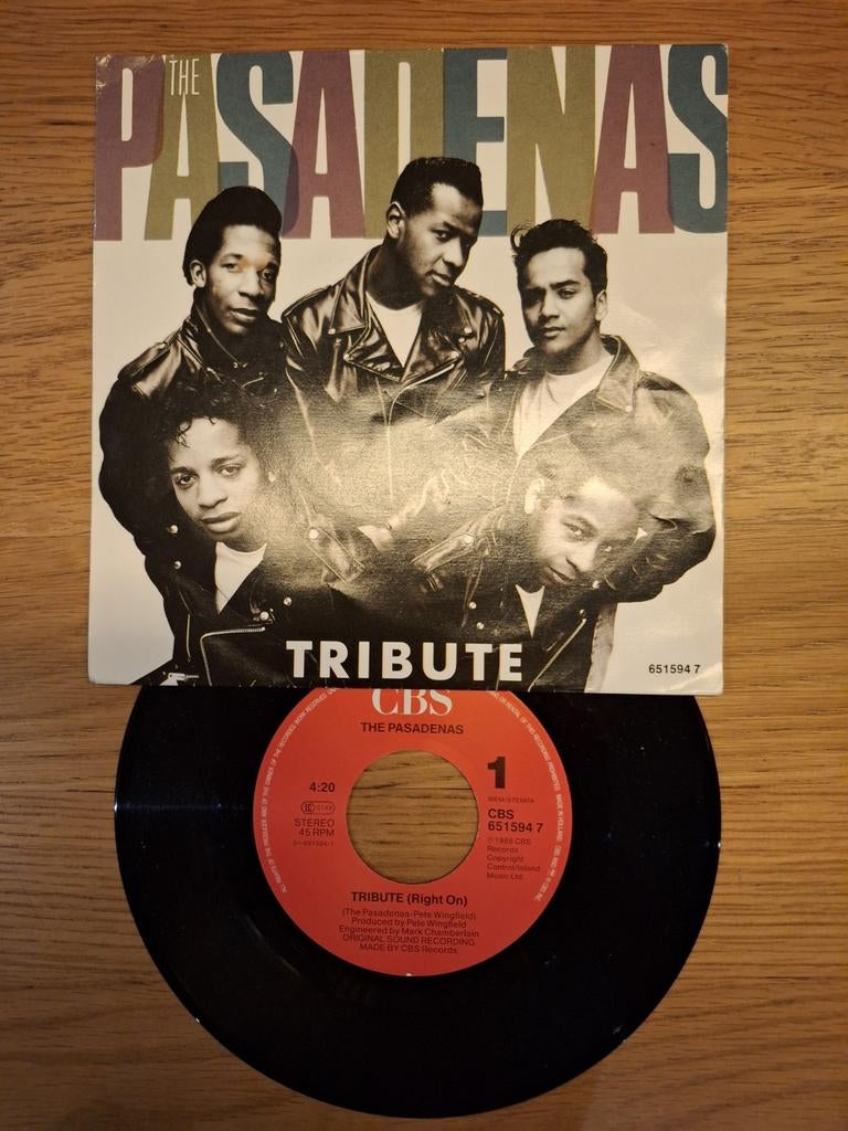 The Pasadenas - Tribute (Right On) - Vinyl Single, Gebruikt, Fotohoes, 7 inch, Ophalen of Verzenden