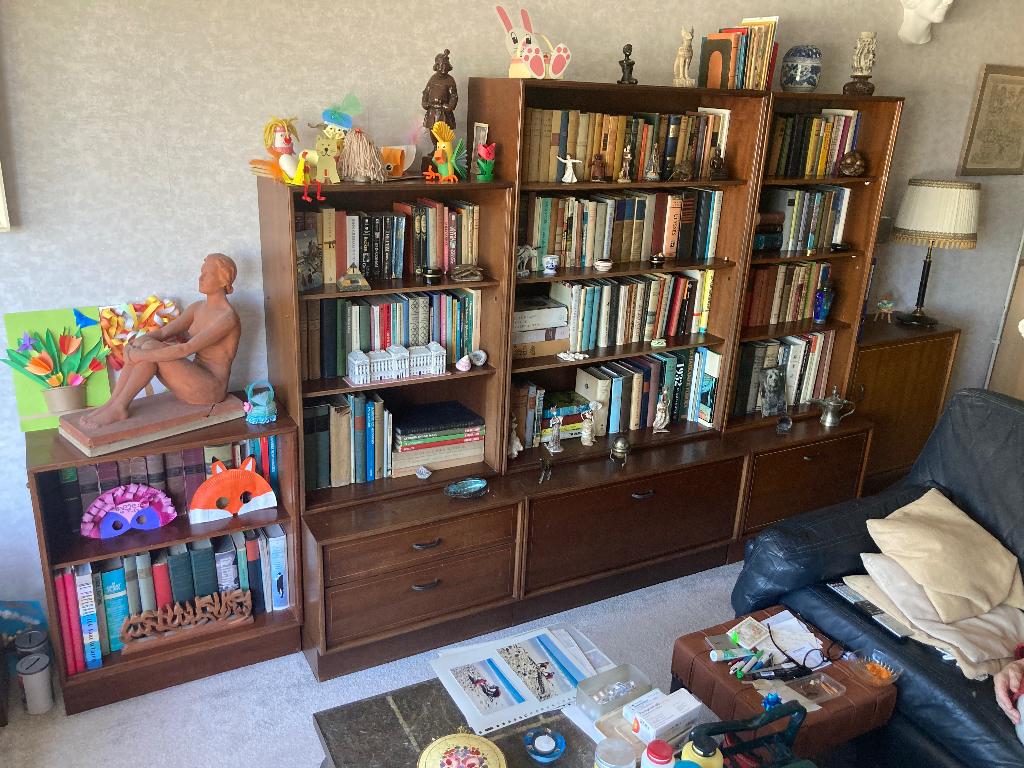 Vintage wandmeubel en boekenkast modulair., Huis en Inrichting, Ophalen, 250 tot 300 cm, Gebruikt, Met deur(en)