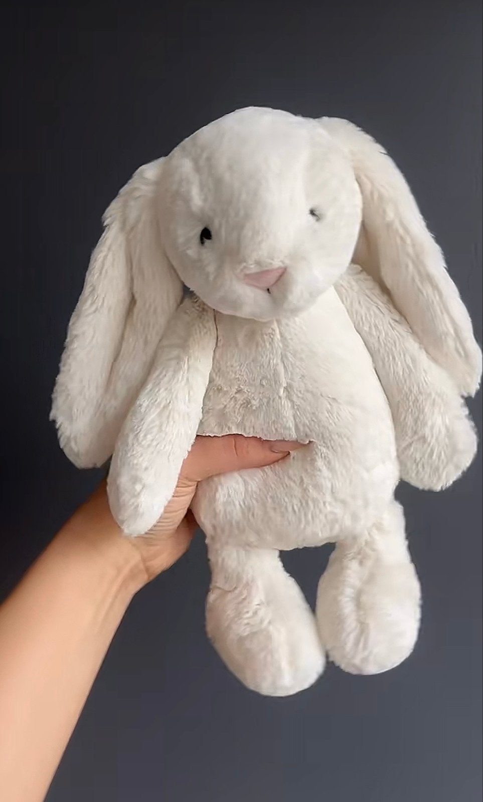 Jellycat Bashful Cream Bunny medium, Jellycat, Konijn, Middelgroot (20 tot 80 cm), Beige
