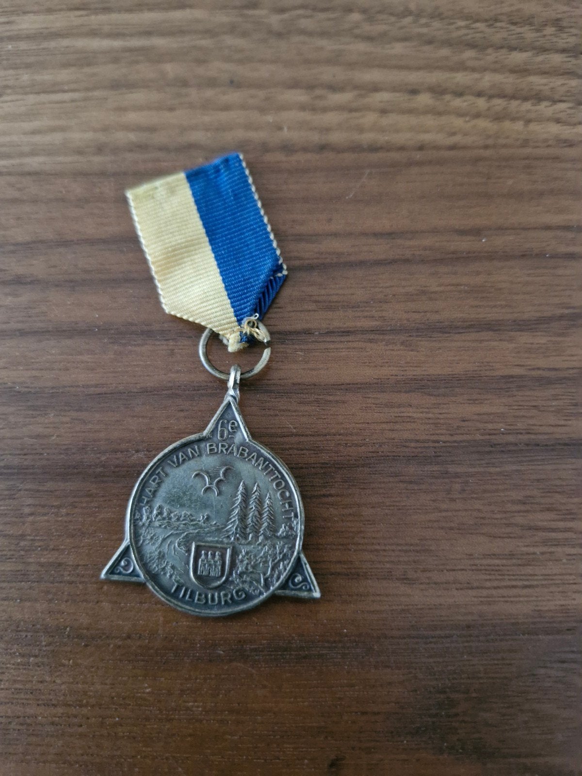 269 6e Hart van Brabanttocht Tilburg Medaille, Ophalen of Verzenden