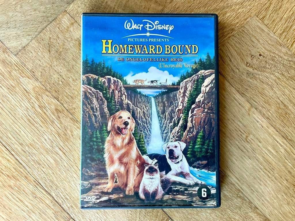 Disney: Homeward Bound (1993) op DVD (krasvrij, met NL), Zo goed als nieuw, Dieren, Vanaf 6 jaar, Film