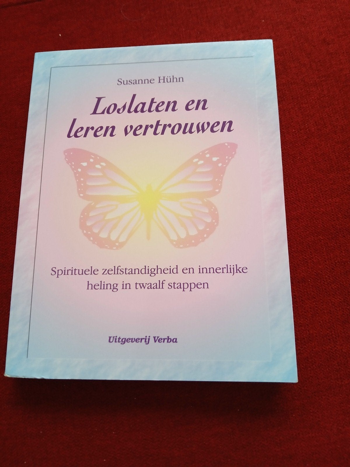 Loslaten en leren vertrouwen - Susanne Hühn, Boeken, Ophalen of Verzenden
