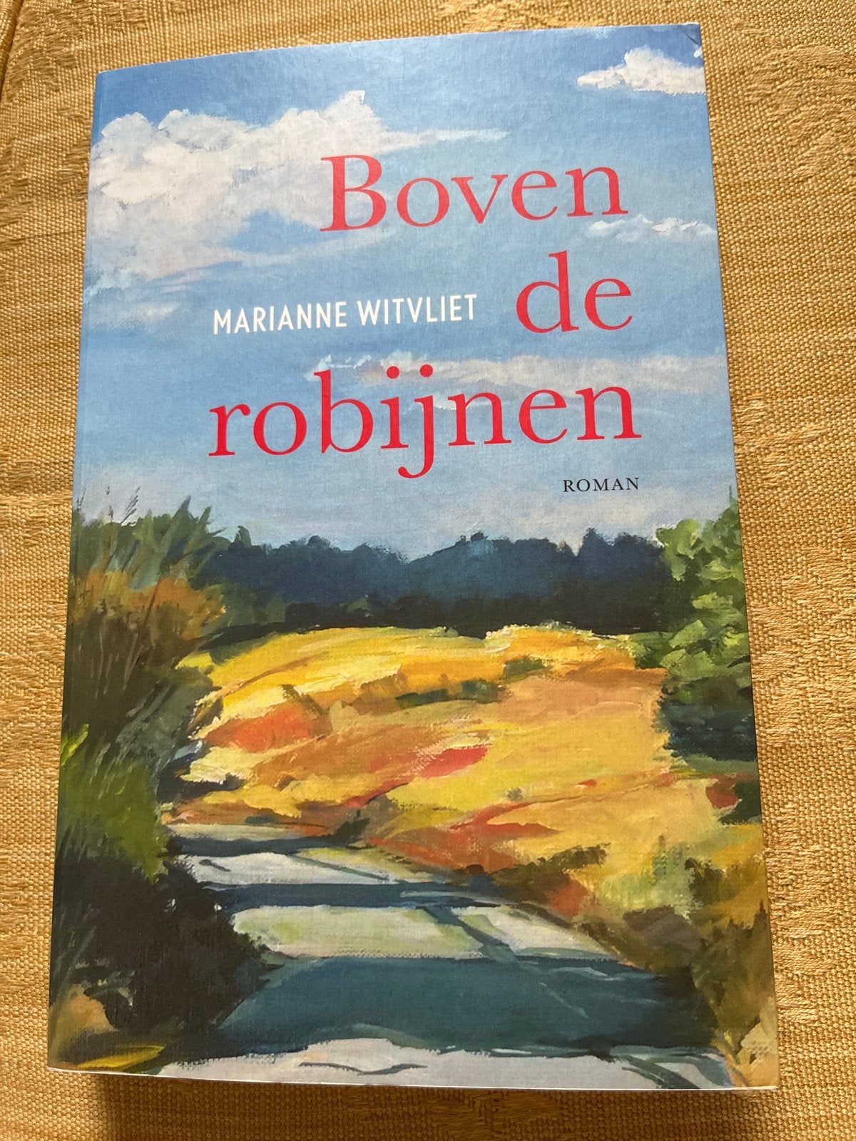 Boven de robijnen - Marianne Witvliet (Roman), Boeken, Ophalen of Verzenden, Zo goed als nieuw, Nederland