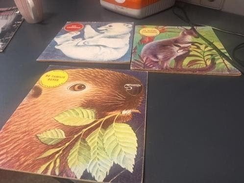 Oude kinderboekjes 1969: Kleine Kangoeroe, Boeken, Ophalen of Verzenden, Gelezen, Fictie algemeen