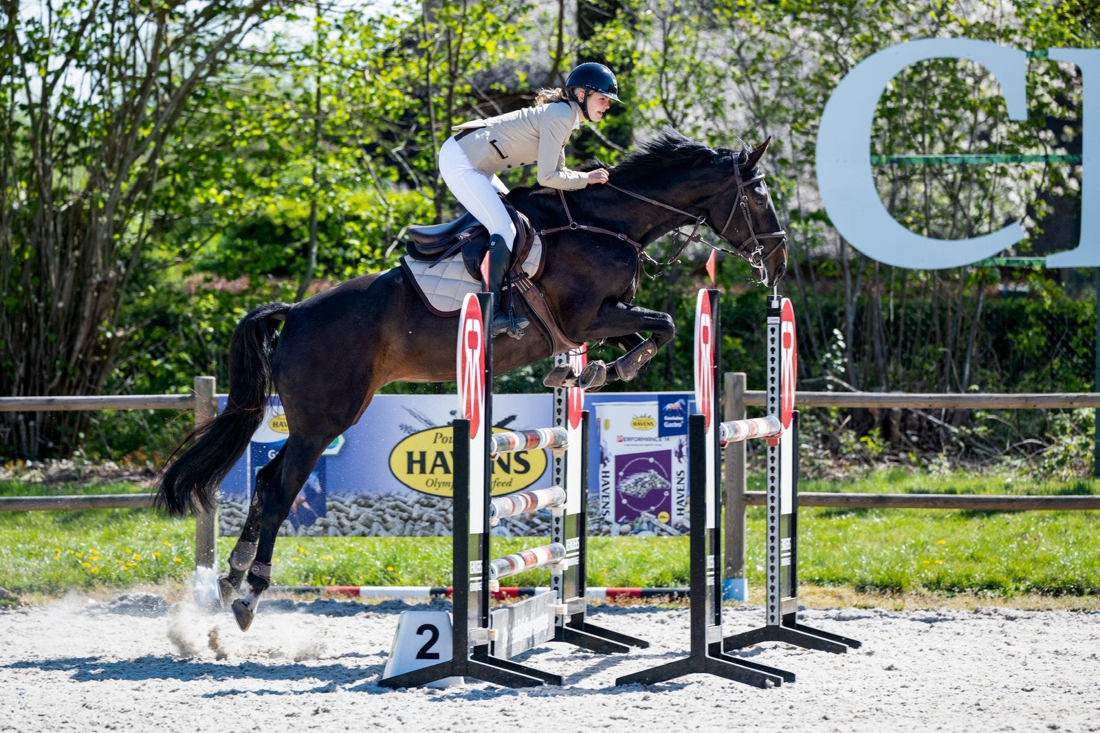 Paarden trainen, Ruiter of Bijrijder