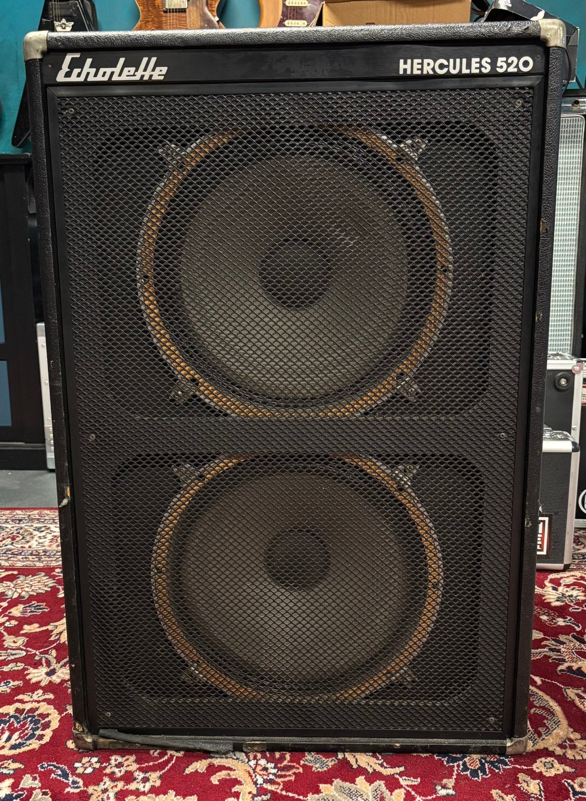 Echolette bass speakerkast met flightcase, Ophalen, Gebruikt, Basgitaar, 100 watt of meer