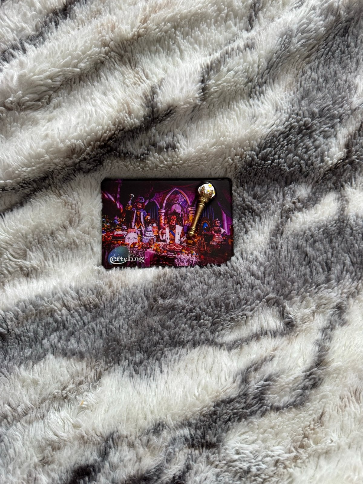 Efteling magneet, Ophalen of Verzenden, Zo goed als nieuw, Button of Speldje
