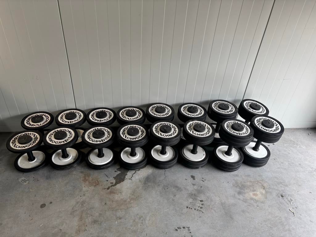 Technogym Isotonic Dumbbellset - 4 t/m 22 kg (220 kg totaal), Ophalen, Technogym, Technogym, Gebruikt