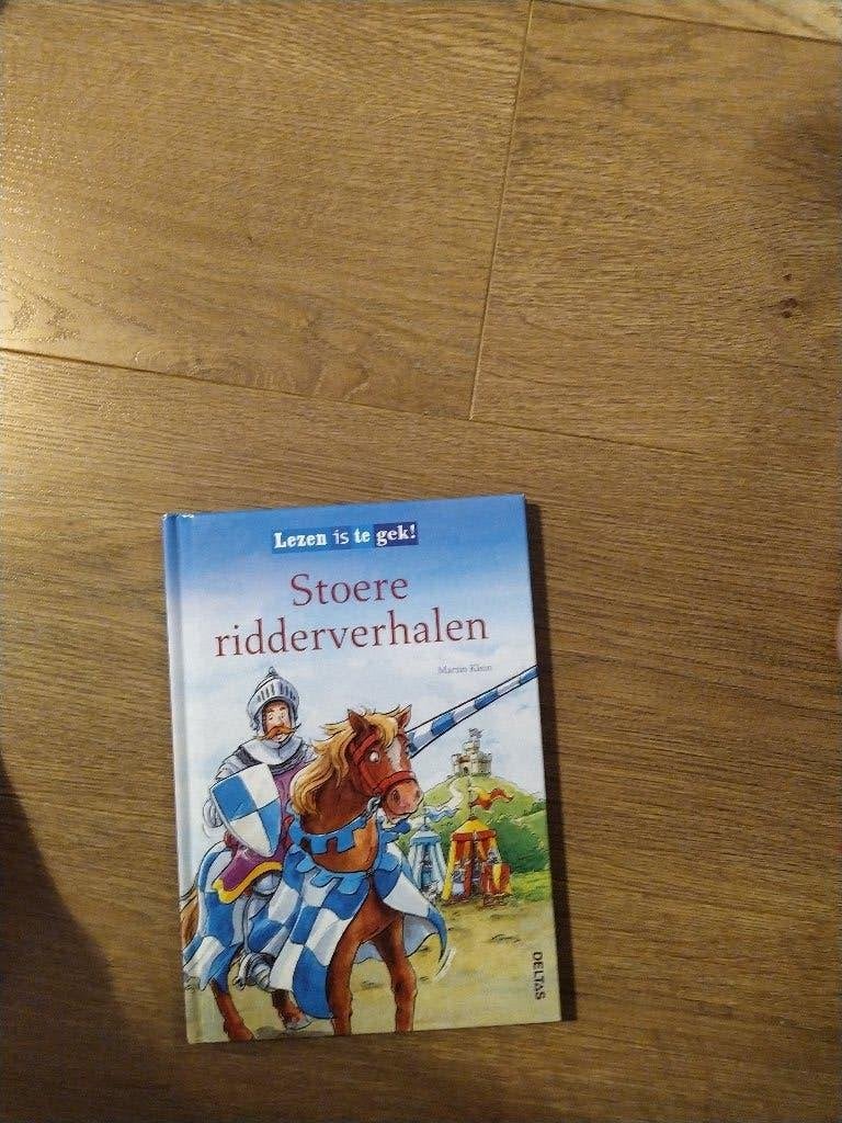 Stoere ridder verhalen - ZGAN, Boeken, Kinderboeken | Jeugd | onder 10 jaar, Ophalen of Verzenden, Zo goed als nieuw, Fictie algemeen