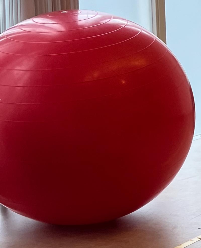 Gymic oefenbal rood 85 cm, Ophalen of Verzenden, Gebruikt, Overige typen