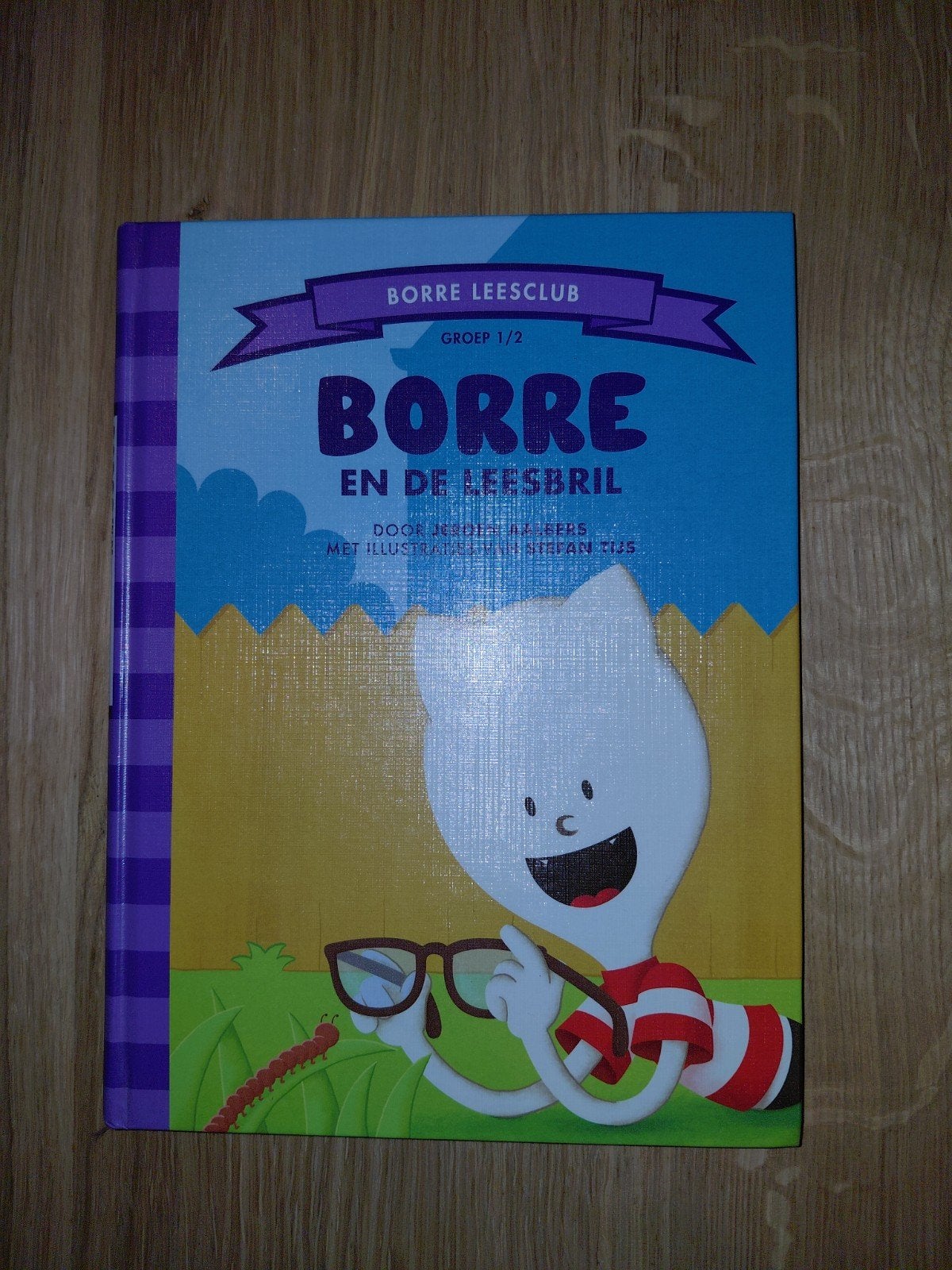 Borre en de leesbril - Borre Leesclub Groep 1/2, Ophalen of Verzenden, Zo goed als nieuw, Jeroen Hoogerwerf, Fictie algemeen