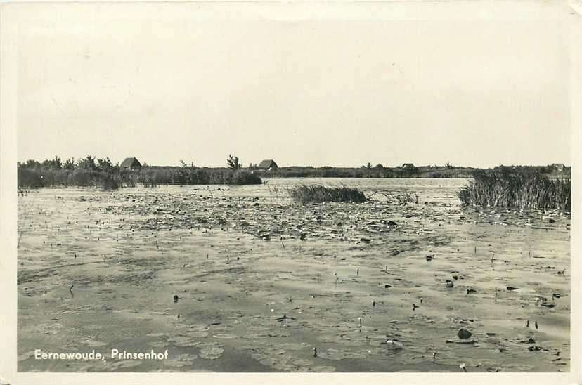 380-910-029 Earnewald Prinsenhof, Verzenden, Voor 1920, Friesland