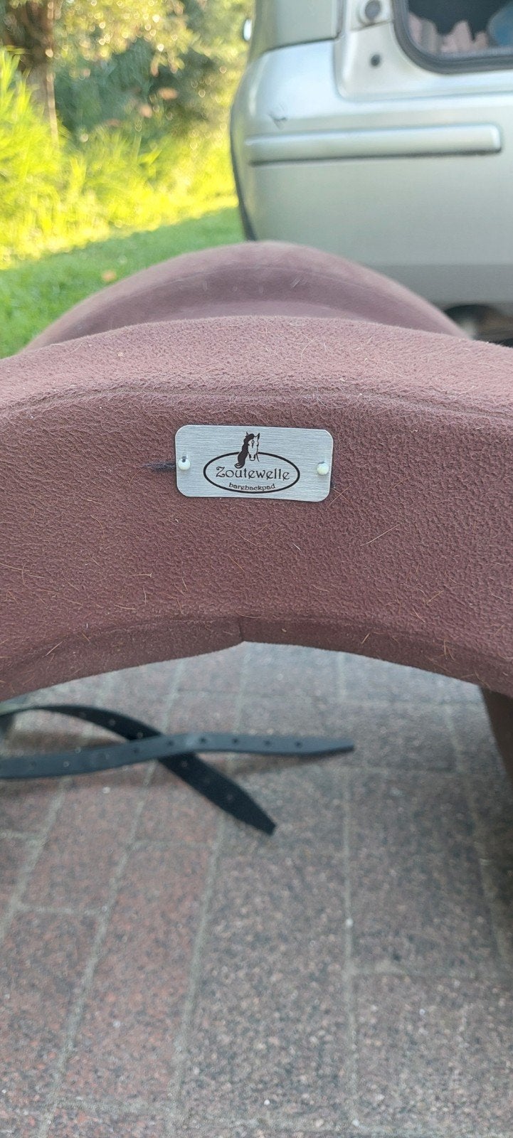 Foto 3 van Zoutwelle barebackpad