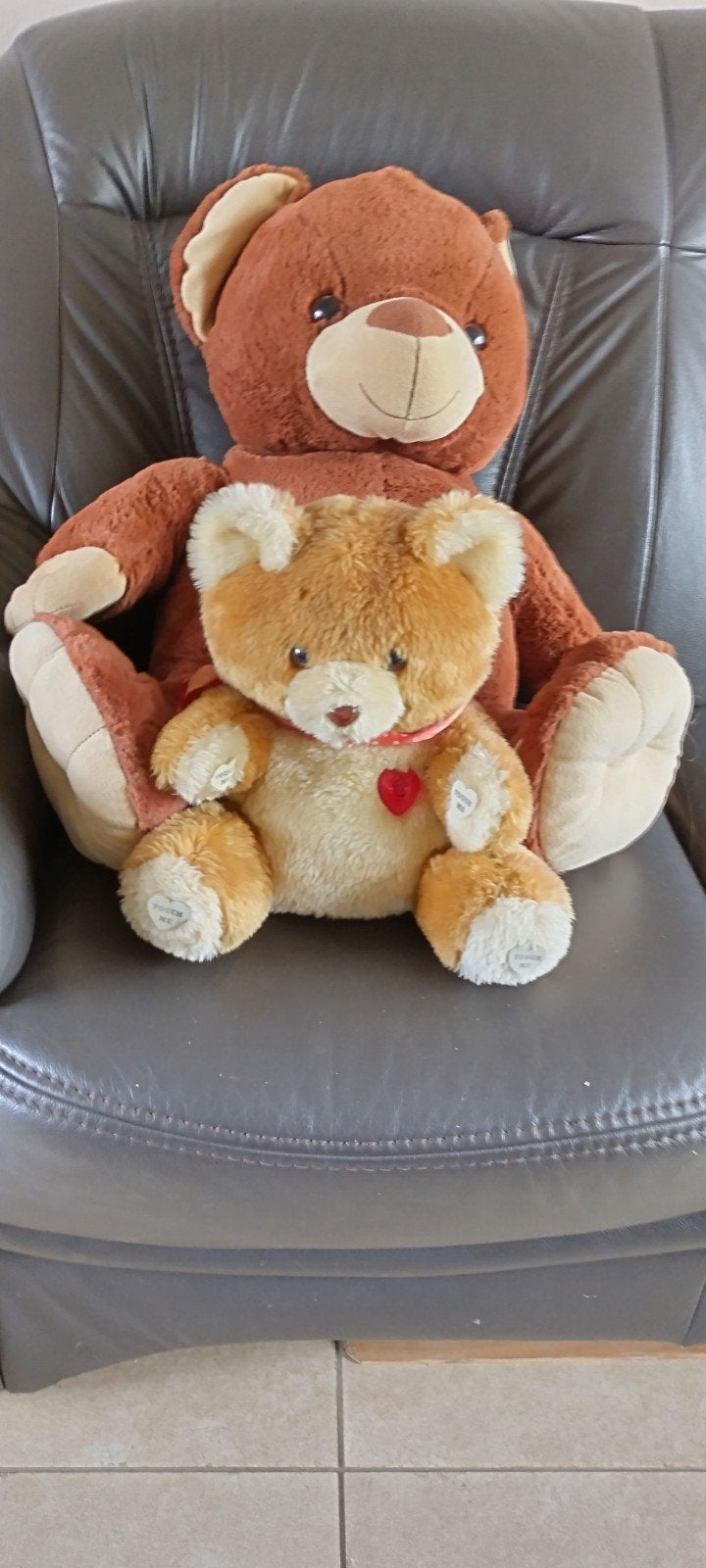 KNUFFELBEREN ZOEKEN NIEUW WARM HUISJE!!!, Verzamelen, Beren en Cherished Teddies, Ophalen, Stoffen beer, Overige merken