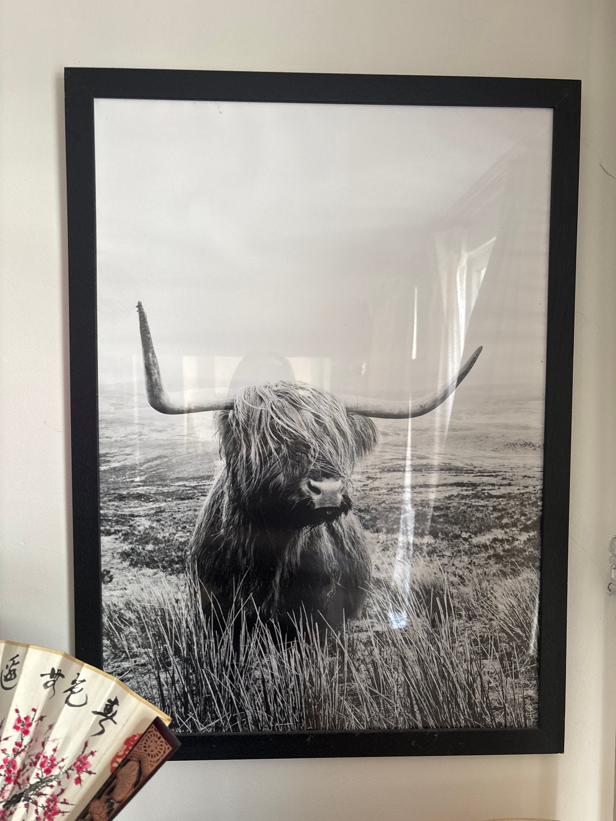 Grote fotolijst met Schotse Hooglander print, Ophalen, Zo goed als nieuw, 75 cm of meer, 50 tot 75 cm