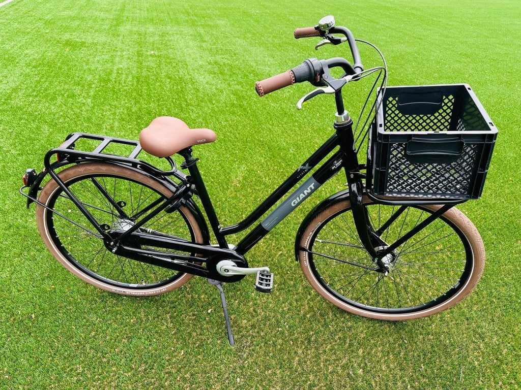 Giant triple X Damesfiets transportfiets