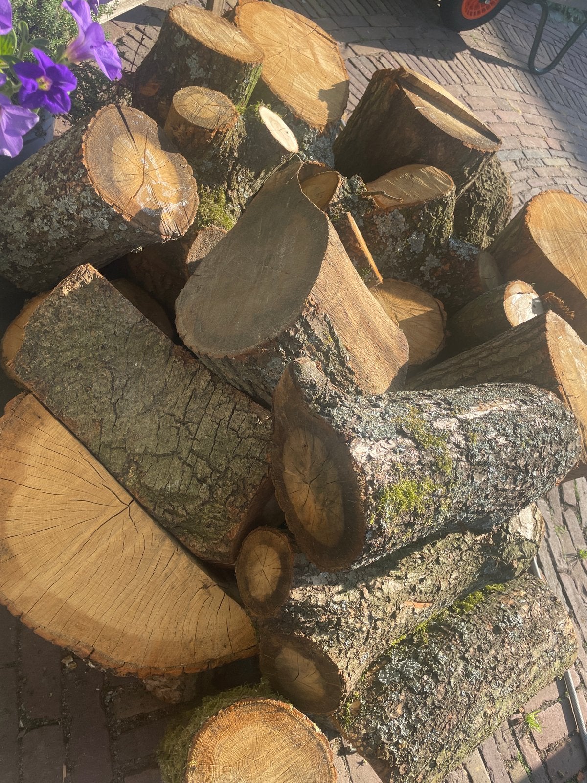 Haardhout eik., Tuin en Terras, Haardhout, Minder dan 3 m³, Ophalen, Overige houtsoorten, Blokken