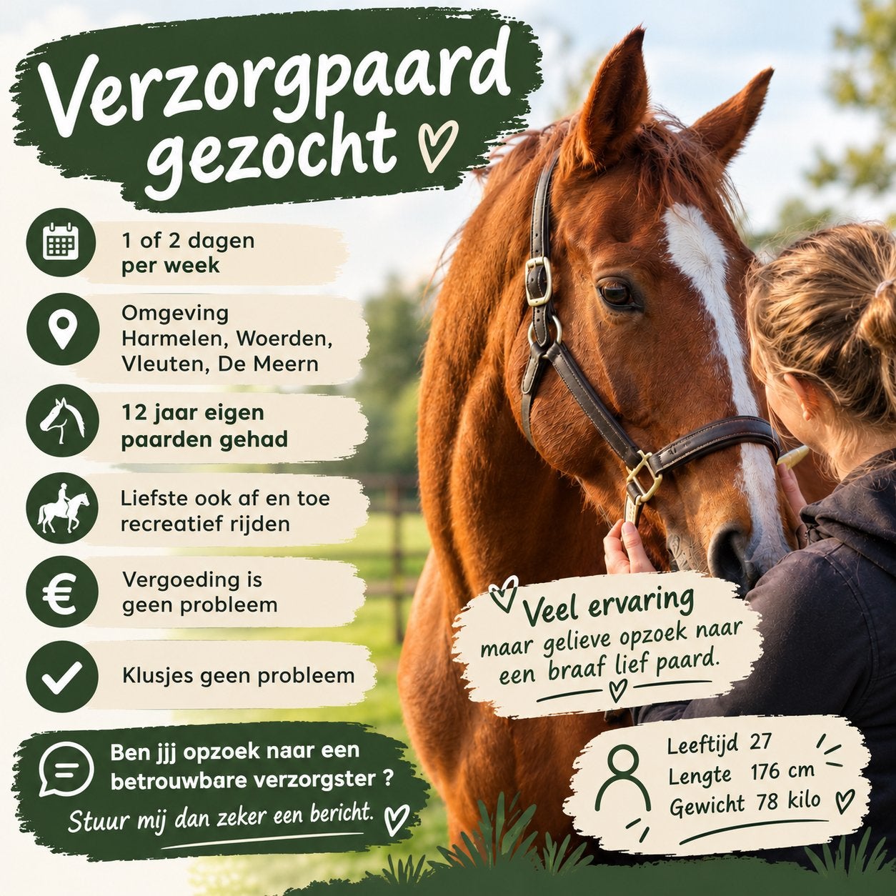 Verzorg / bijrijdpaard gezocht, Ophalen of Verzenden, Zo goed als nieuw