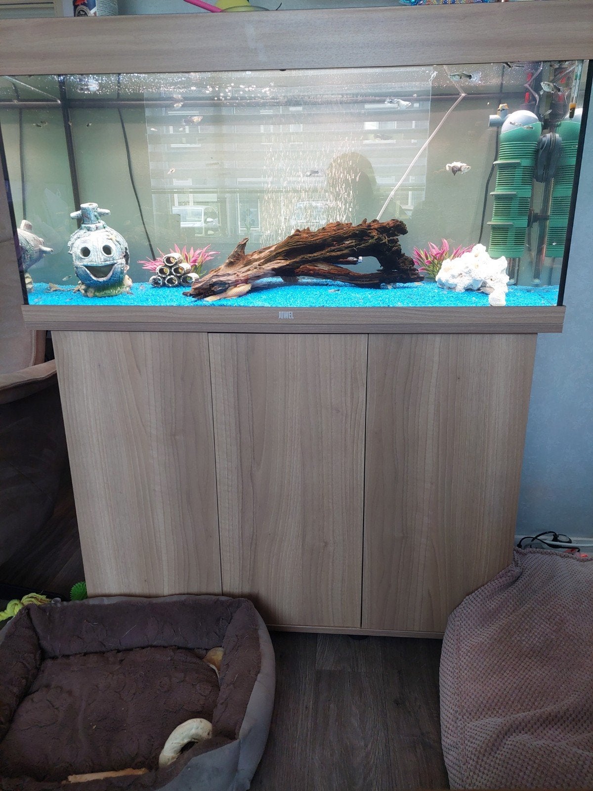 juwel 180 liter tekoop, Dieren en Toebehoren, Ophalen, Gevuld zoetwateraquarium, Juwel