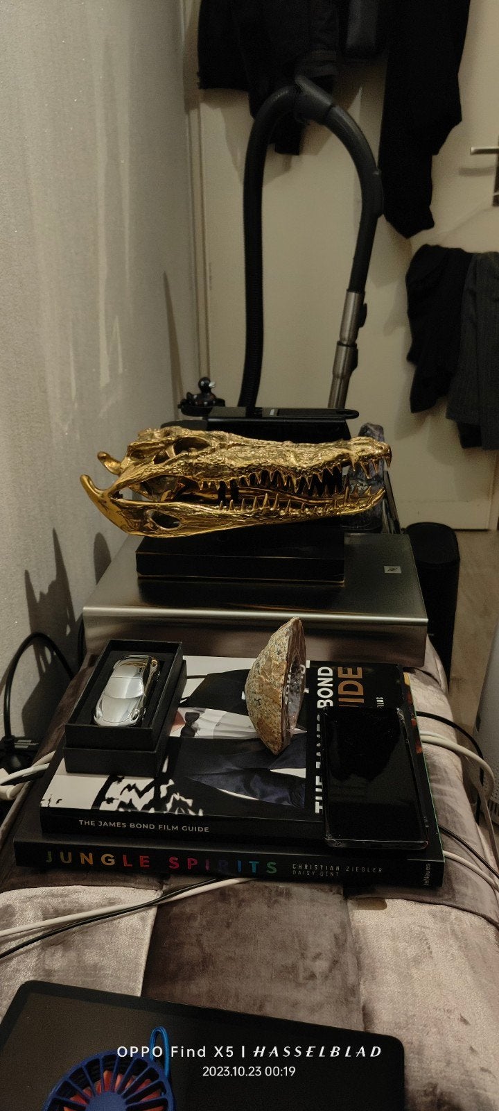 Crocodile skull bronze, Ophalen