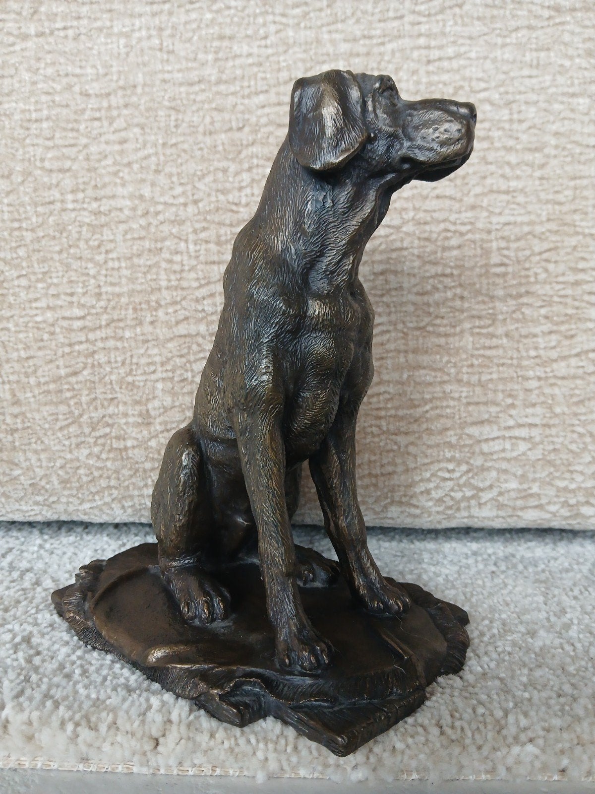 Jachthond op kleed 0.22 cm hoog, Ophalen, 20 - 50 cm