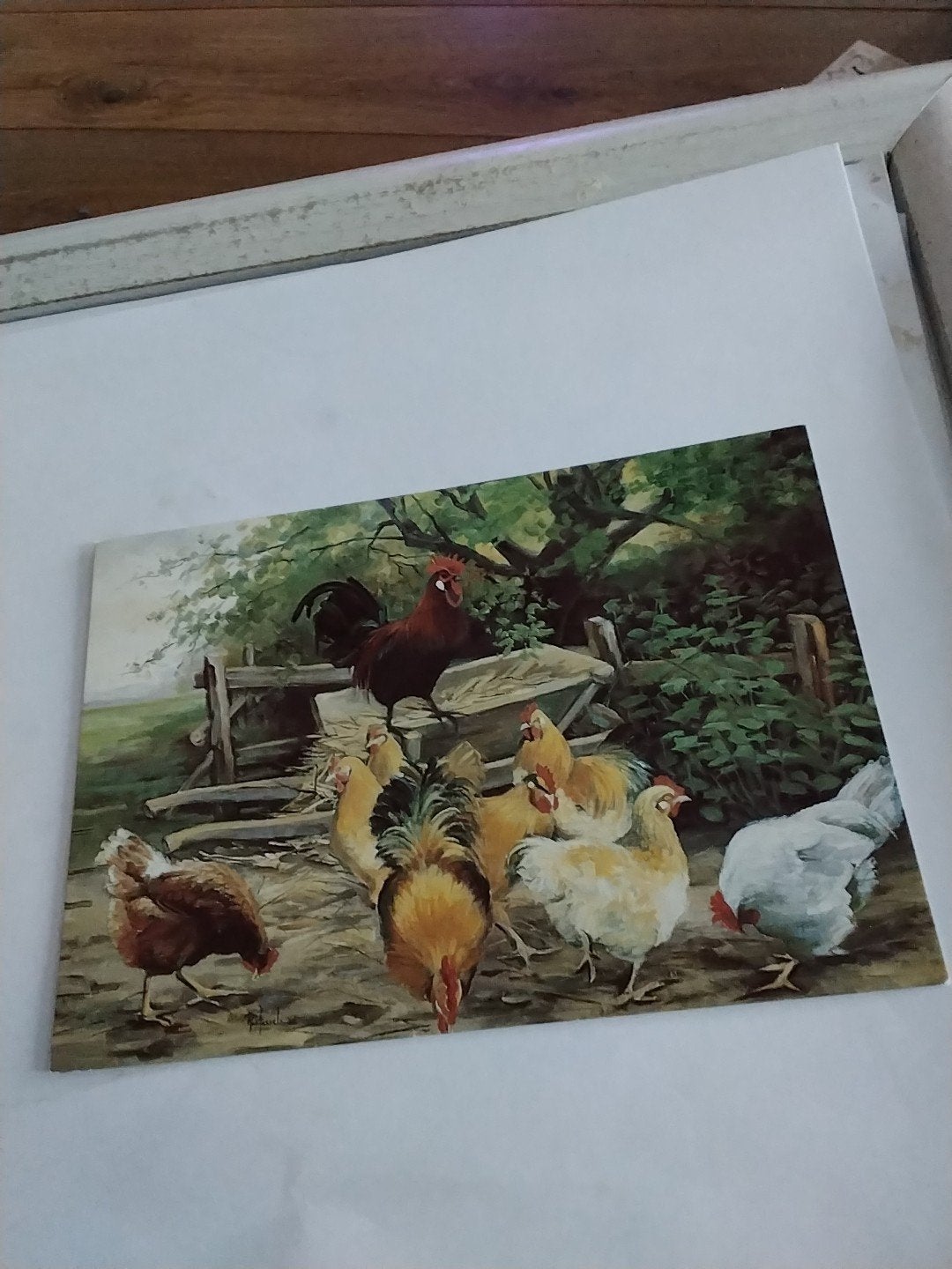 Ansichtkaart: Kippen en haan op het erf - Rob Hessels, Verzamelen, Ophalen of Verzenden, 1980 tot heden, Ongelopen