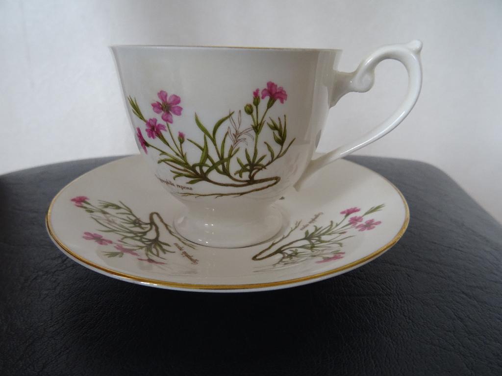 kop en schotel Staffordshire Royal Delfesta Fine Bone China, Ophalen of Verzenden, Zo goed als nieuw, Porselein, Kop en/of schotel