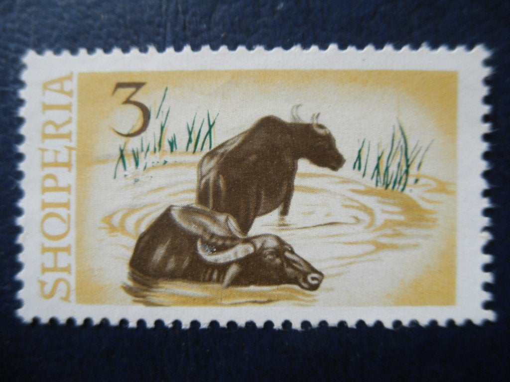 Postzegels Albanië 1965 nr. 923 waterbuffels - cw € 3,00 (*), Ophalen of Verzenden, Overige landen