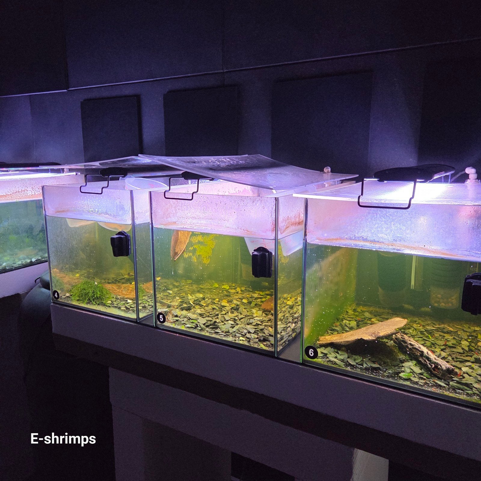 3 x 45 liter aquarium compleet met automatisch bijvulsysteem, Ophalen, Gebruikt, Overige merken, Leeg aquarium