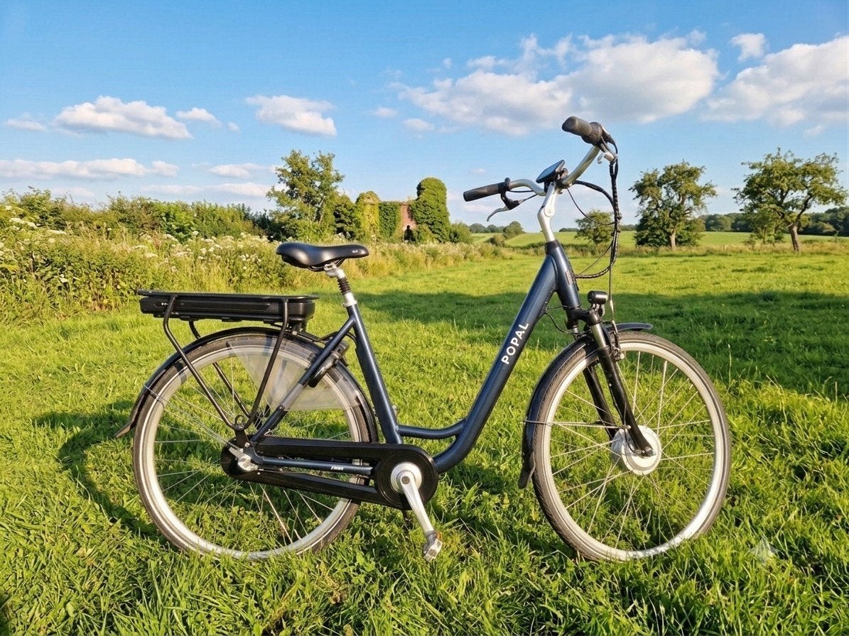 ZGAN  goed onderhouden elektrische fiets e-bike, Ophalen of Verzenden, Zo goed als nieuw, Overige merken
