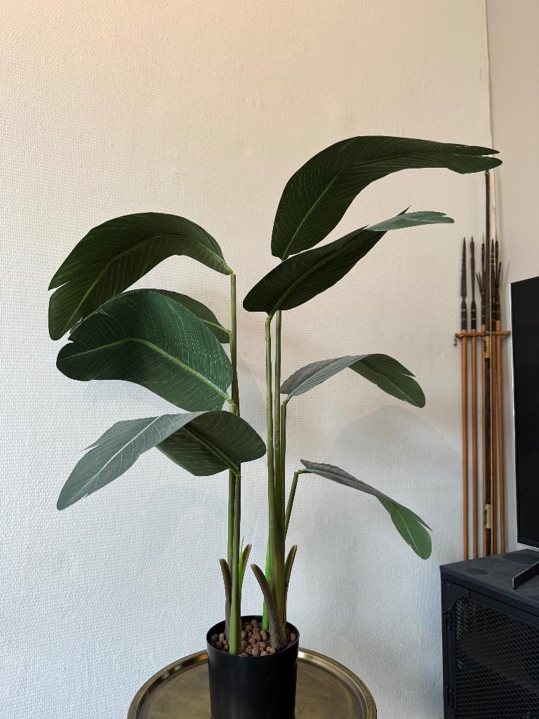 Kunstplant Strelitzia - 90 cm, Ophalen, Groen, Kunstplant, 90 cm